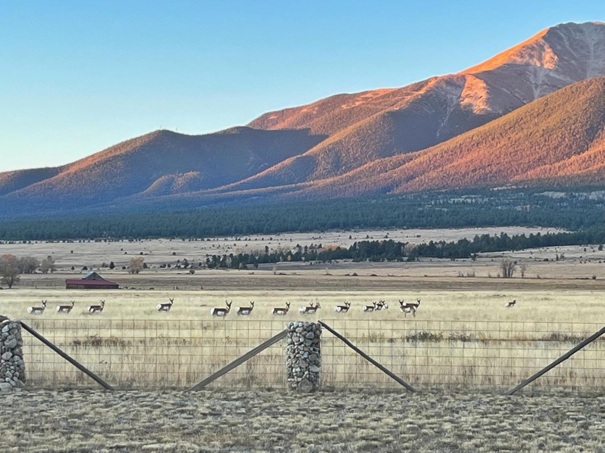 Buena Vista Mountain Retreat - Ultimate Privacy With Spa & Unbeatable Views Exterior foto